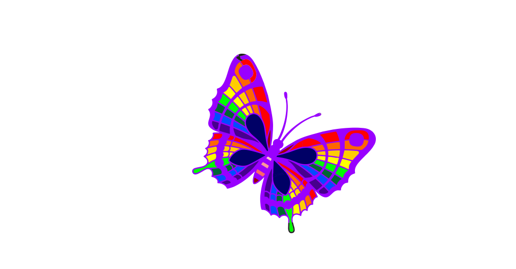 The Colorful Butterfly