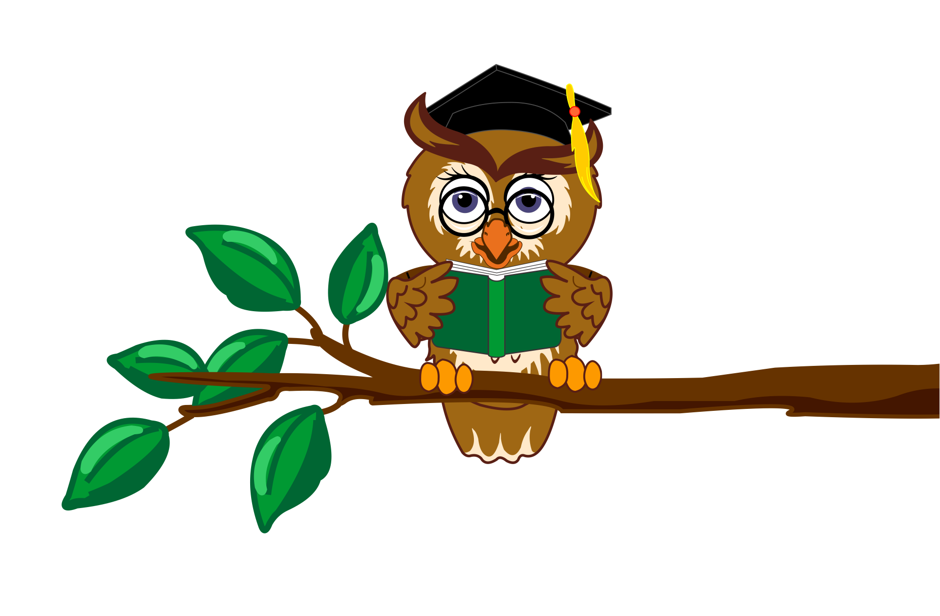 Animal Wisdom – What We Learned Together
