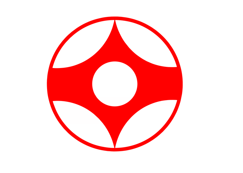Kyokushin Karate