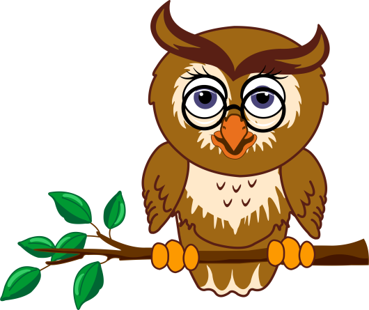 Animals discovering that everyone has a place in the world