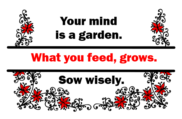   What you feed, grows. 