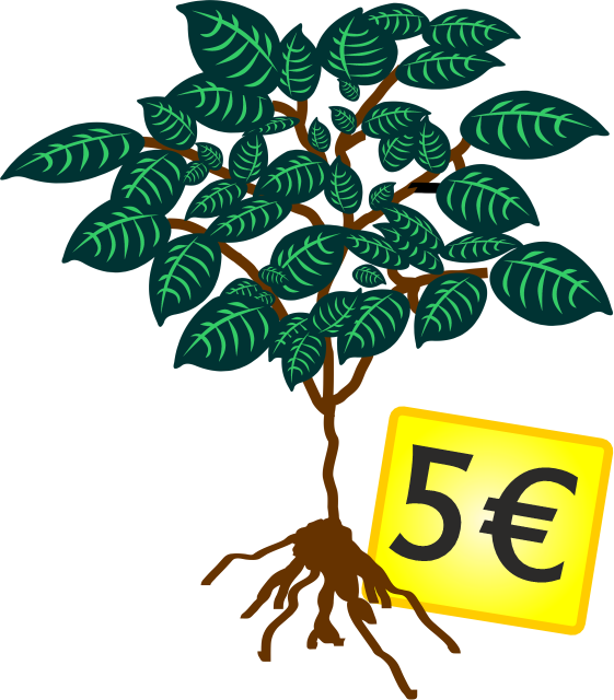 Tree for sell to saf the earth