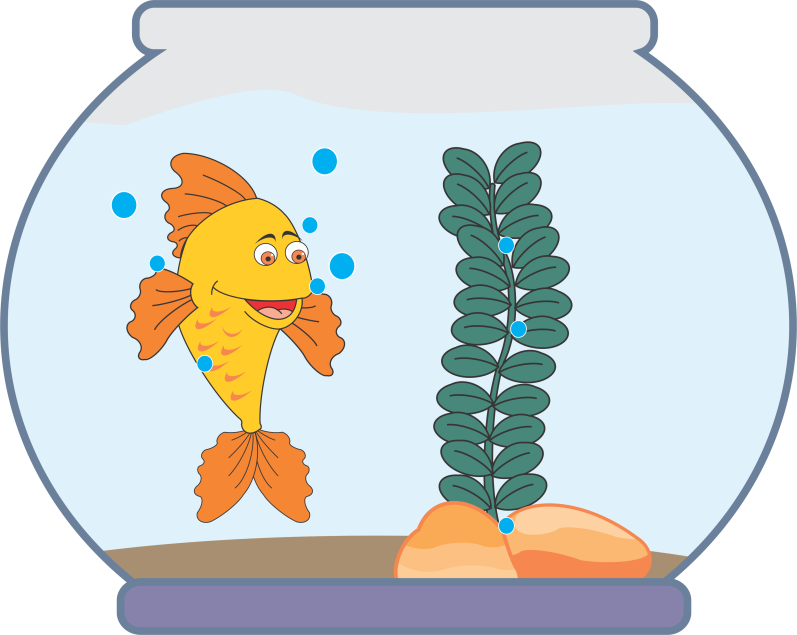 Fish looking out from a small fishbowl