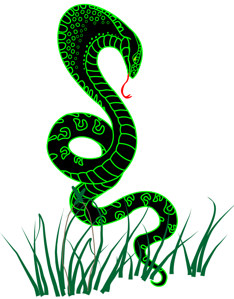 Snake observing quietly in the forest