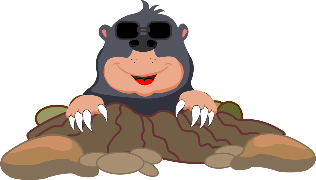 Animal trapped because of greed