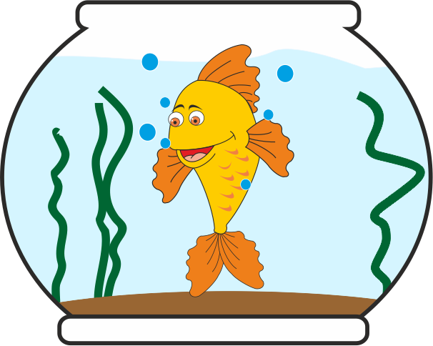 Different animals learning in their own way