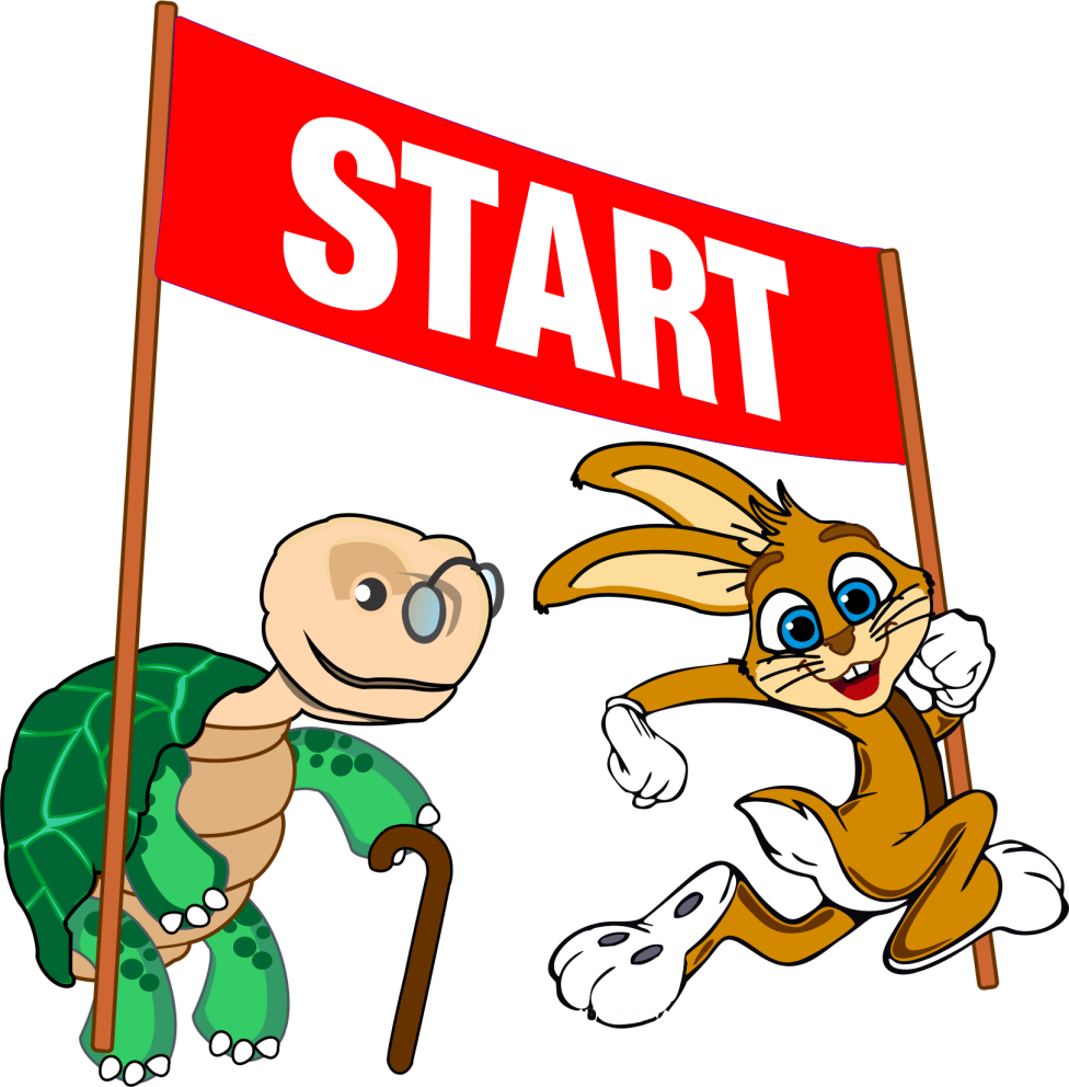 Tortoise winning through patience and persistence