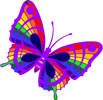 Butterfly transforming with bright colors