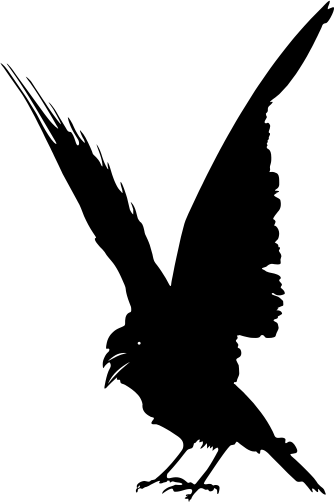 Crow comparing itself to a peacock