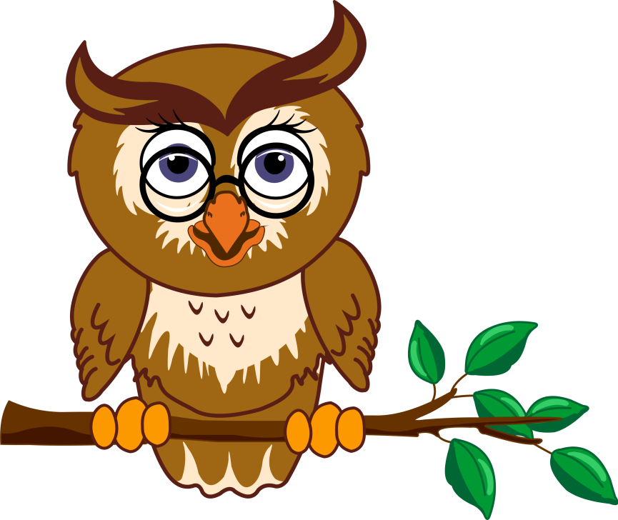 Wise owl sitting calmly in a tree