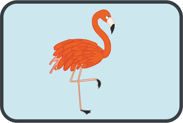 School wisdom of a flamingo