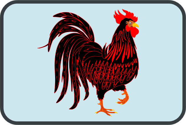 School wisdom of a rooster