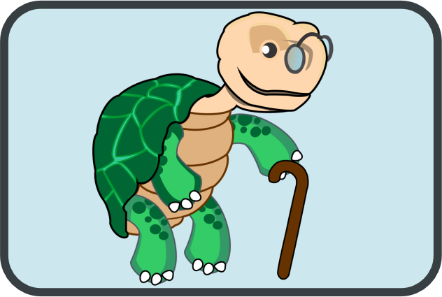 School wisdom of a turtle