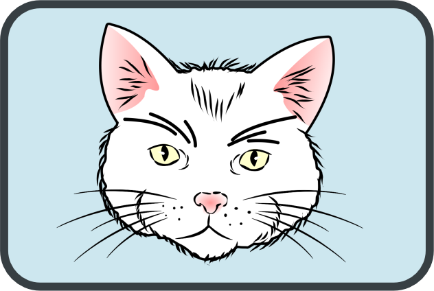 School wisdom of a cat