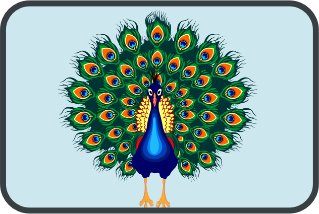 School wisdom of a peacock