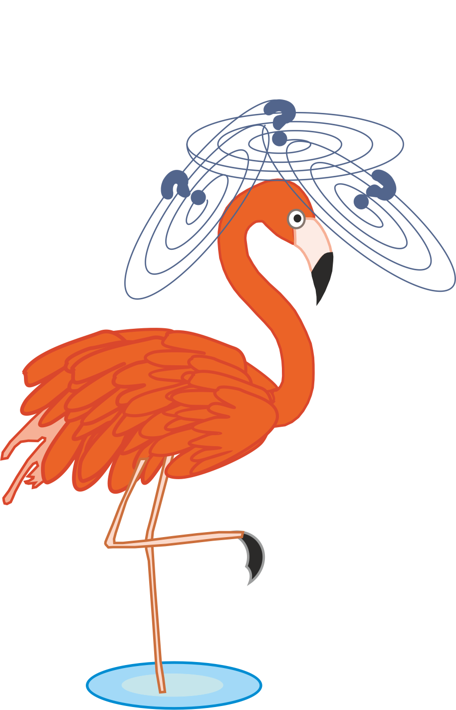  flamingo was confused