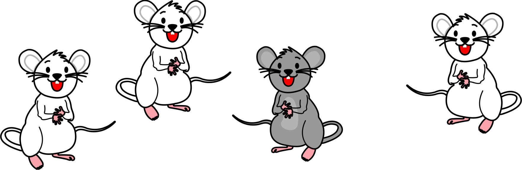 One grey mice