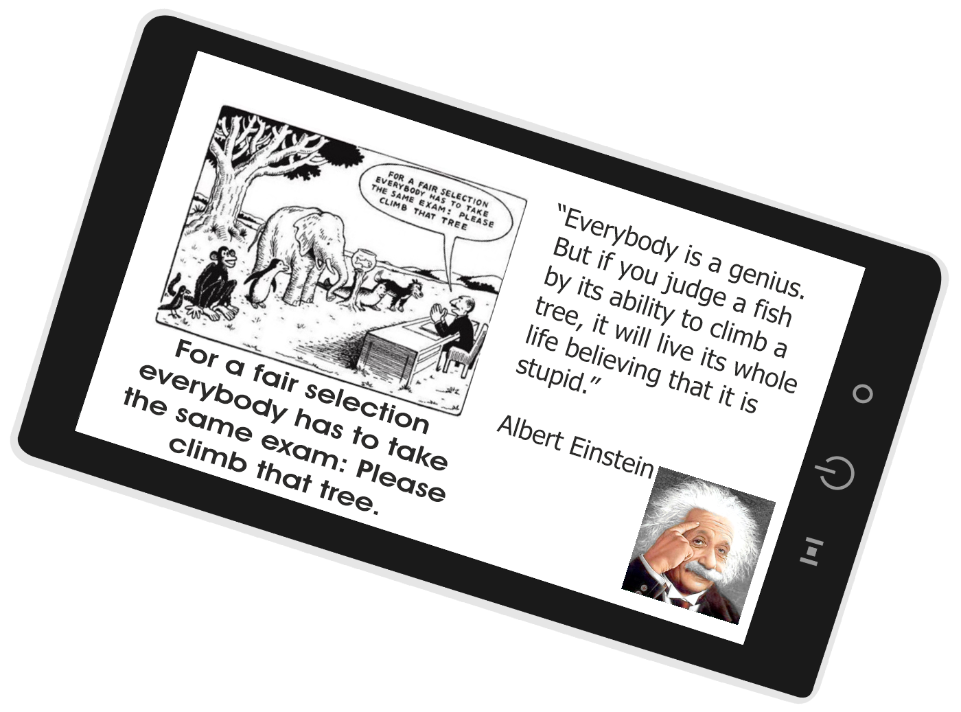 Everyone is a genius