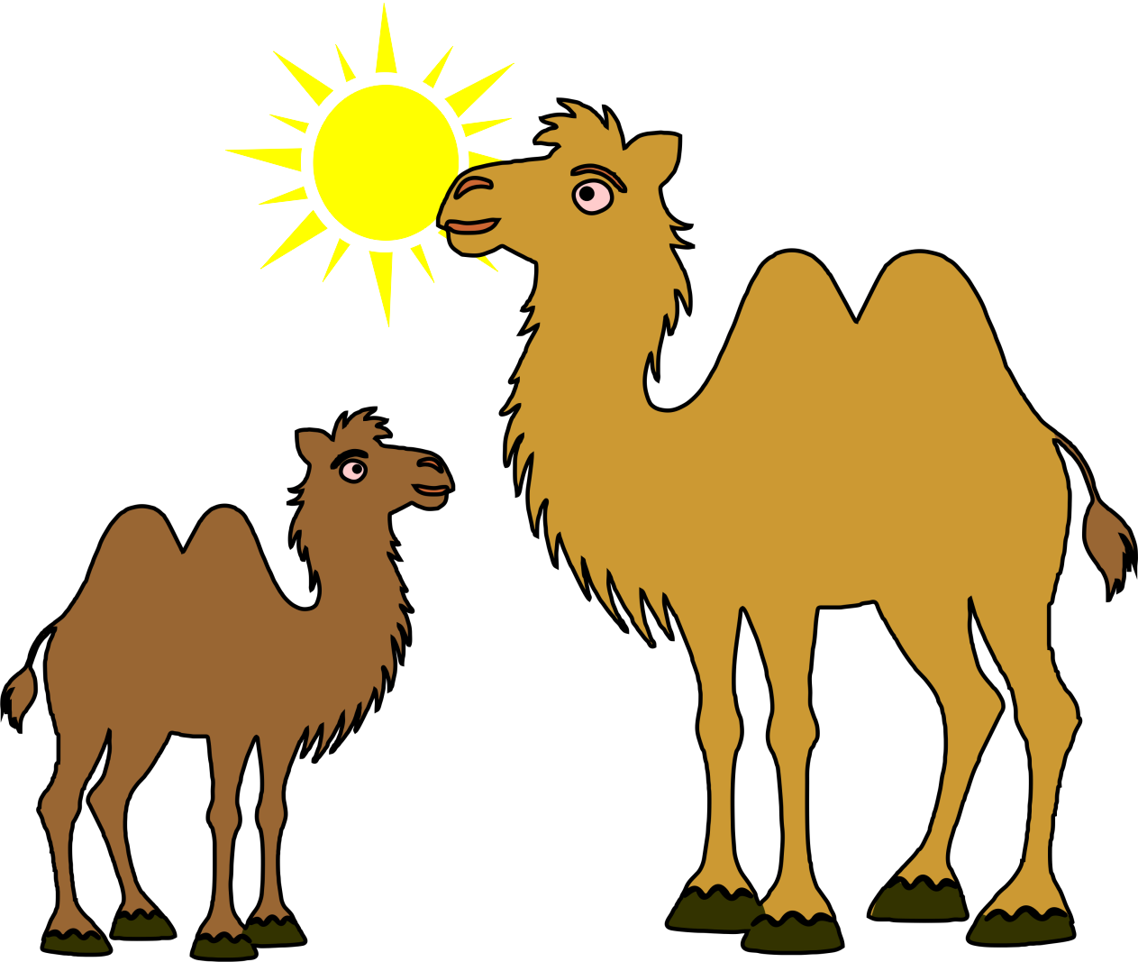 Then why in the world are we living in a zoo?