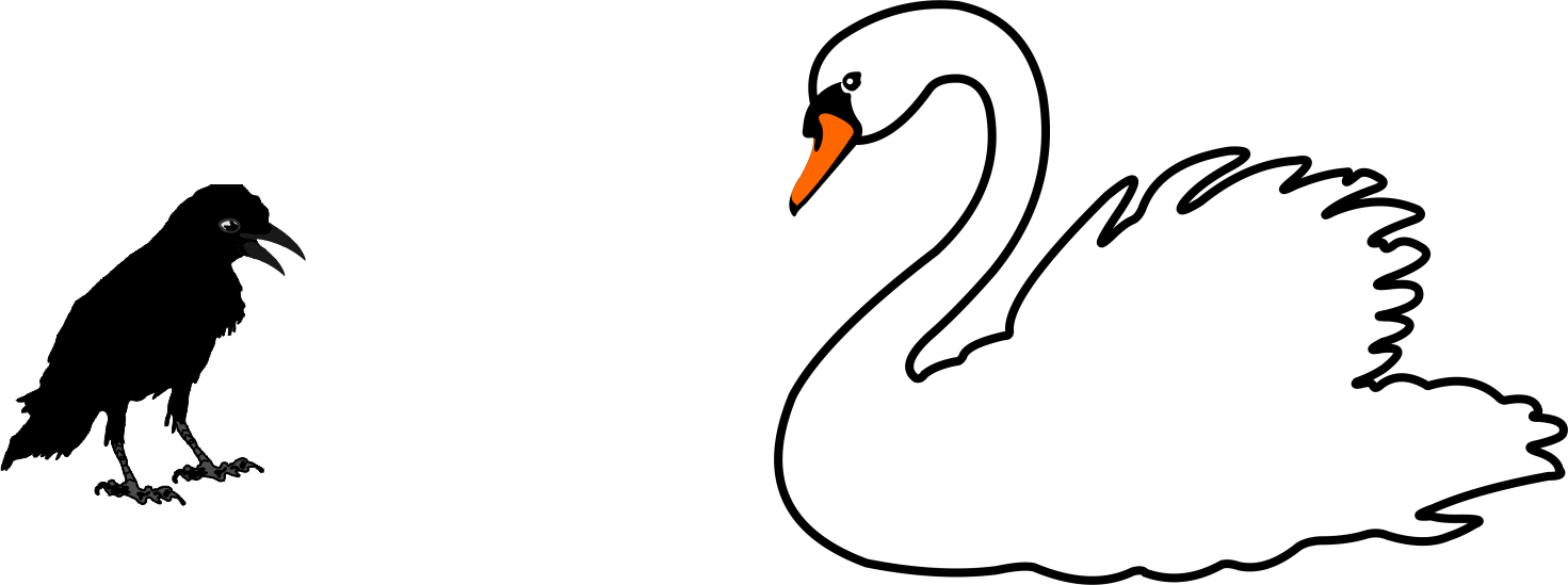 Swan is beautiful or not?