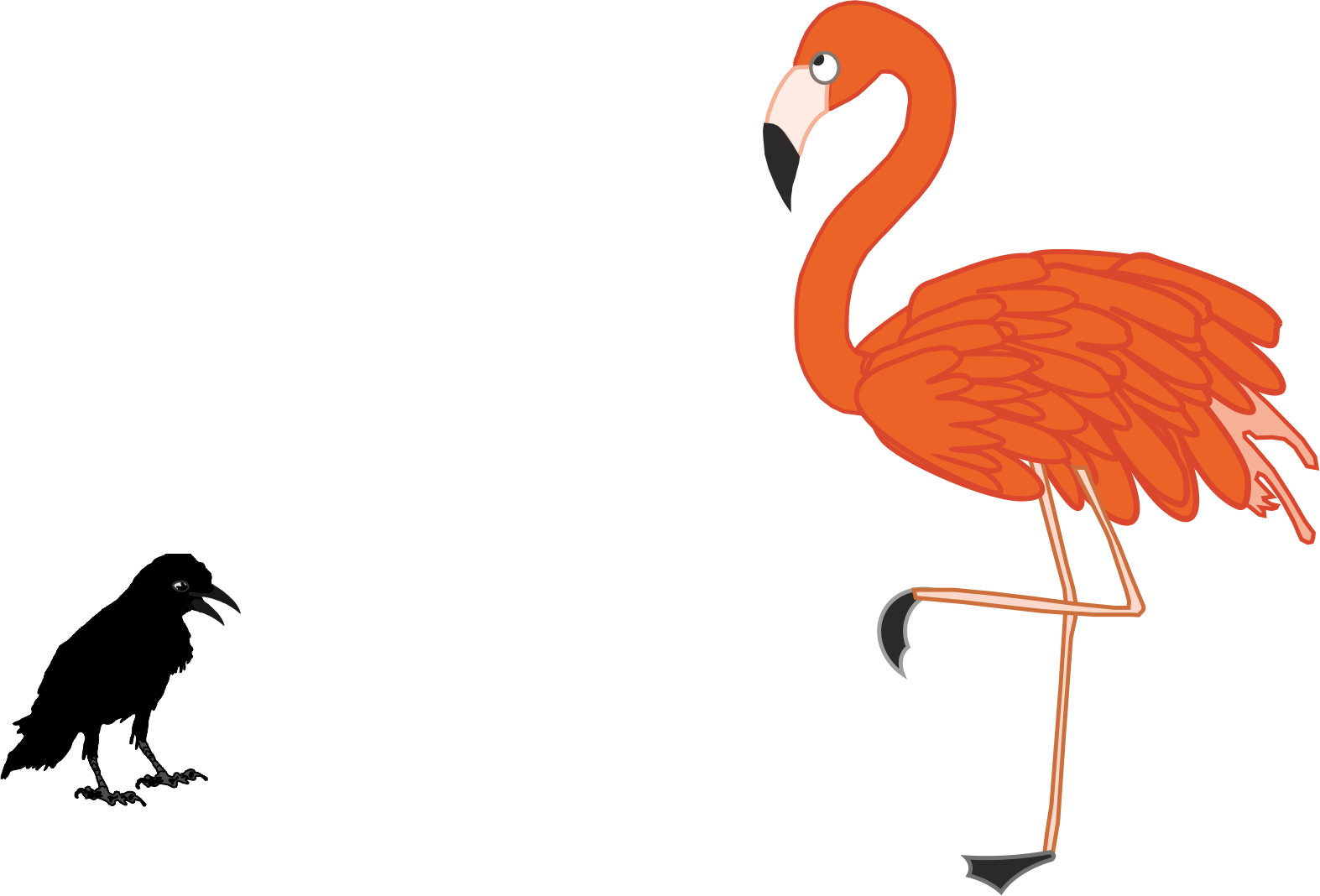 I was happy… until I saw a peacock.