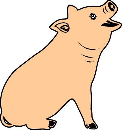 Pig