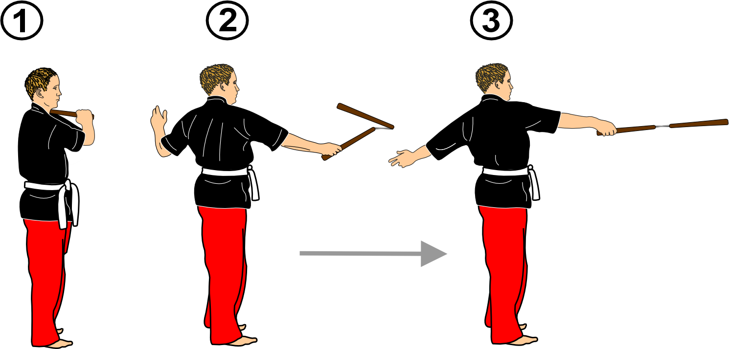 Forward strike from lateral guard