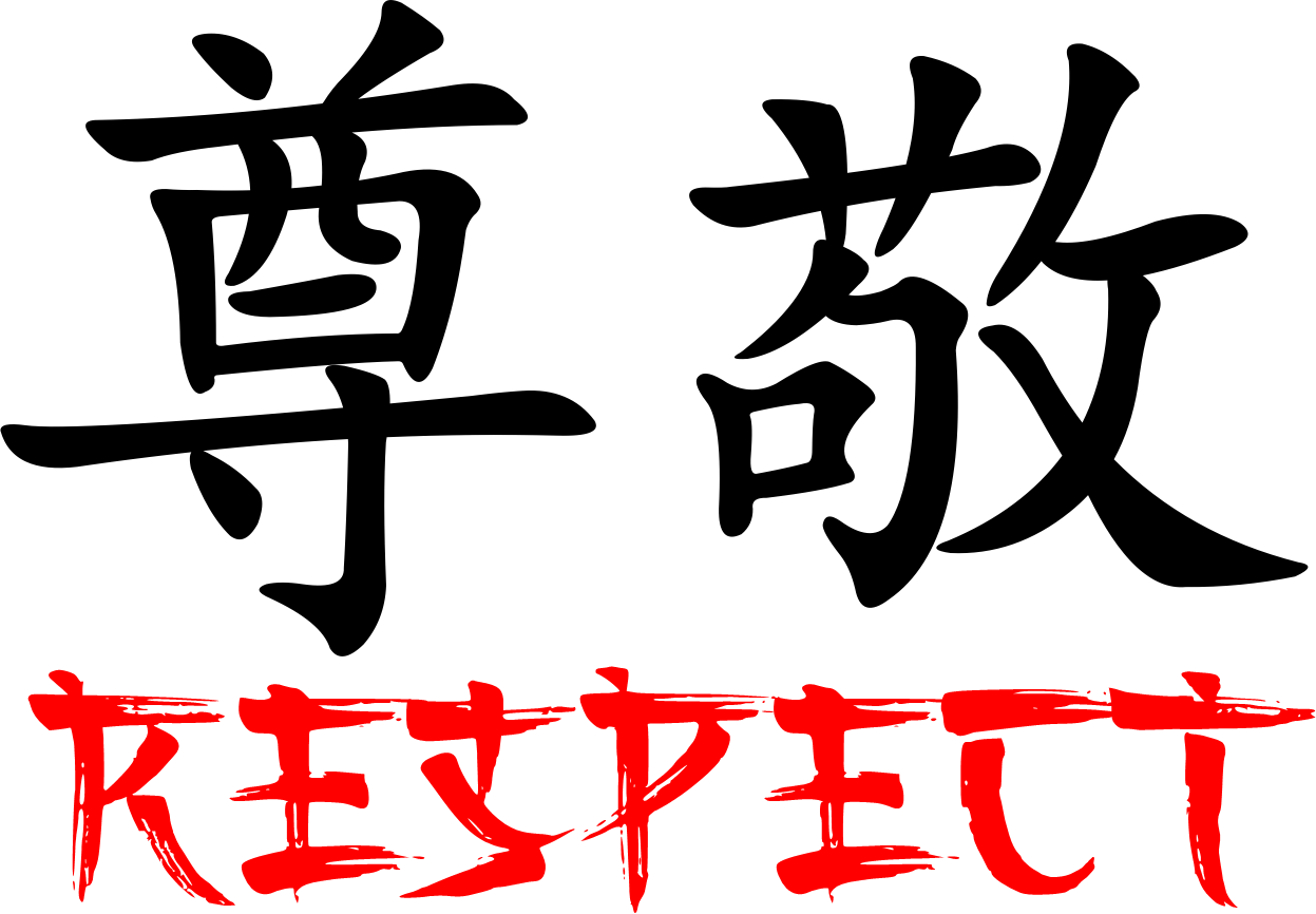Respect as a fundamental principle in martial arts practice