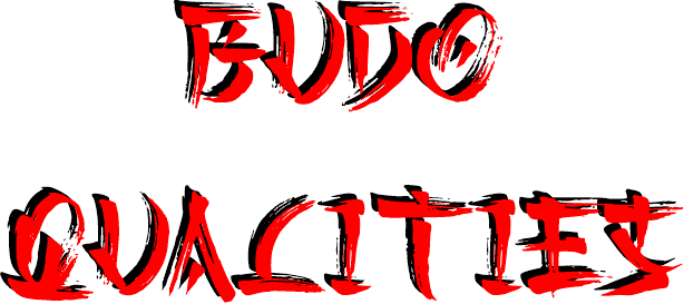 Essential budo qualities shaping the martial arts character