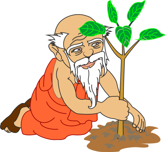 Old man planting a young tree that will one day grow branches for wooden nunchaku.