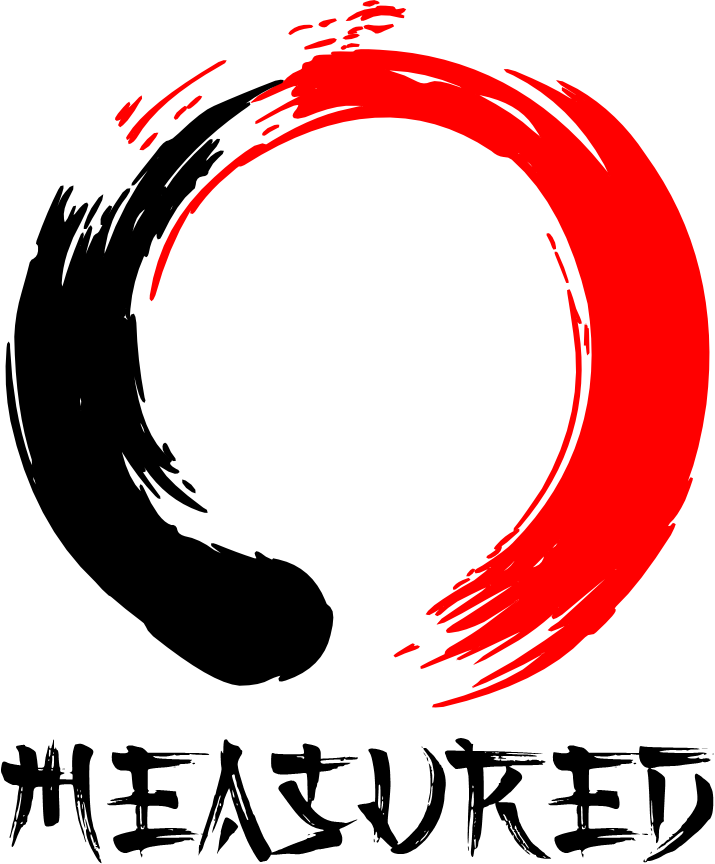 Red and black enso circle representing control, precision and measurable progress in NC5 training.