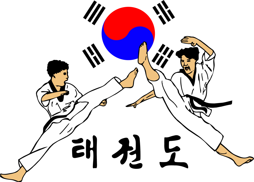 Taekwondo jump kick demonstrating speed power and dynamic movement