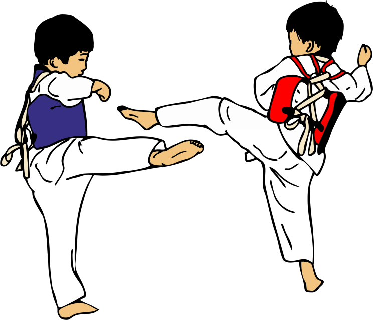 Children practicing taekwondo demonstrating discipline and basic training