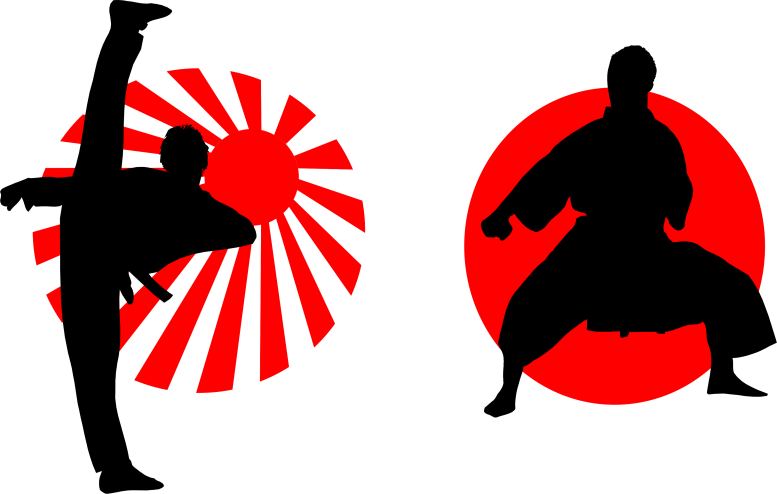 Karate technique with red sun background