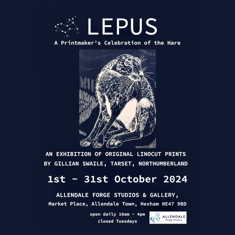 “Lepus” a printmaker’s celebration of the hare
