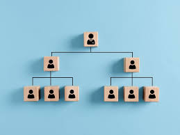 ORGANIGRAMMA