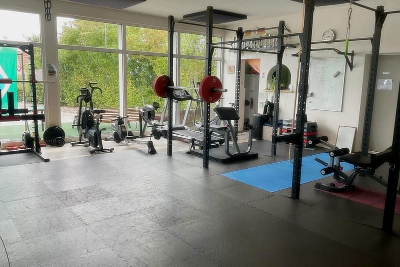 BOXE POINGS        (aux pattes d'ours)