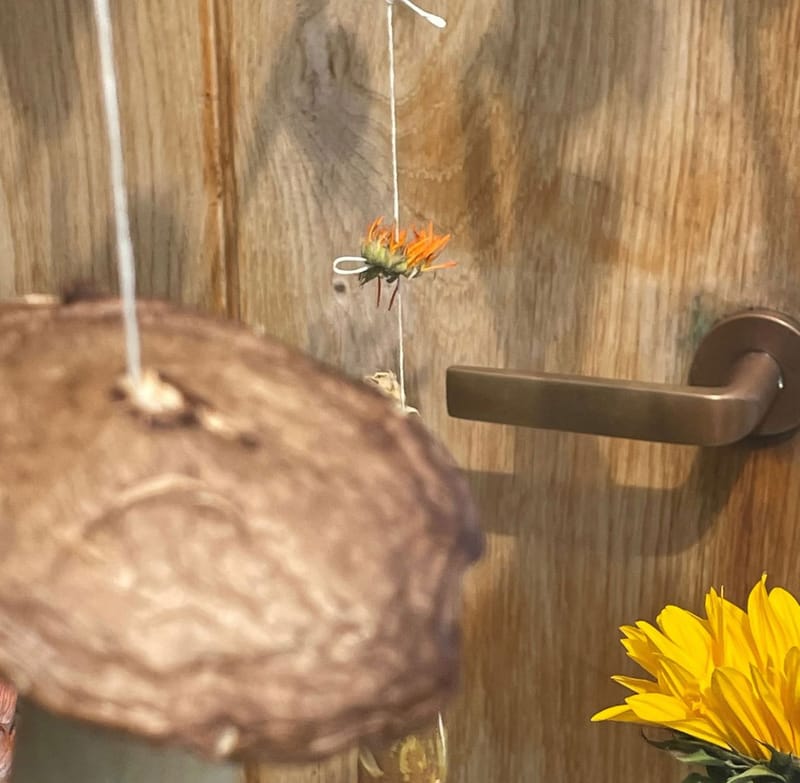 Lidt fra forskellige nationale og internationale projekter