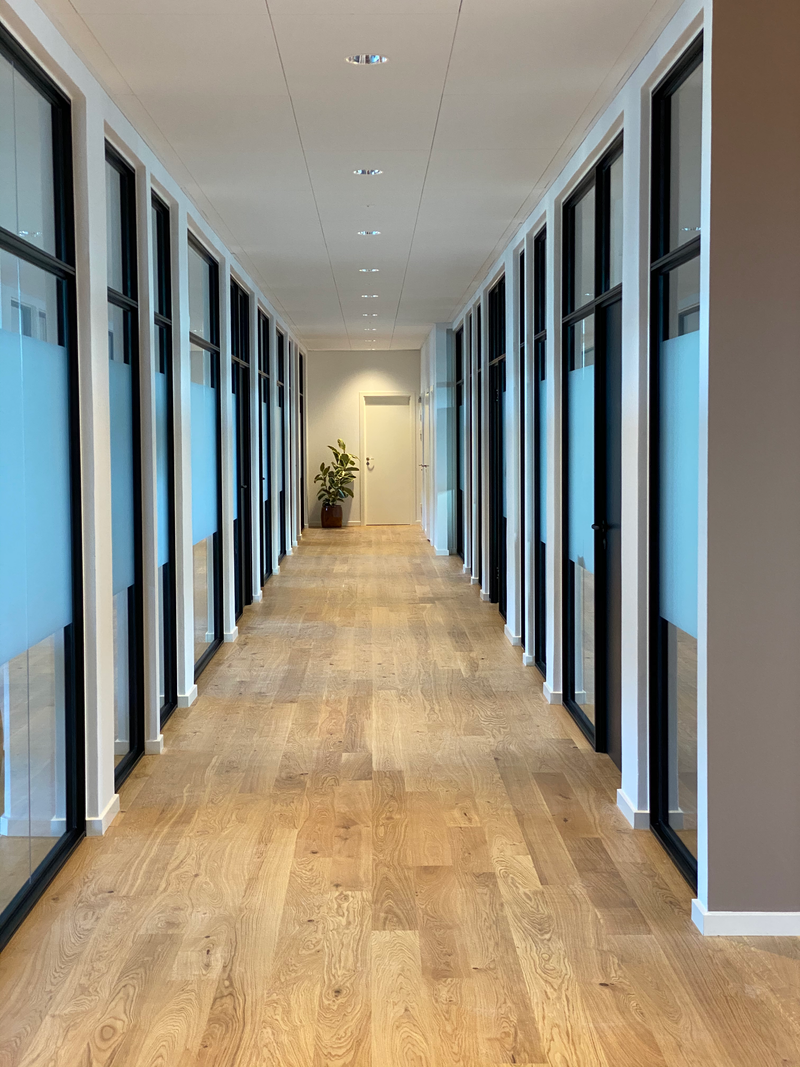 SD lyd glasvægge med- eller uden sprosser til private og professionelle