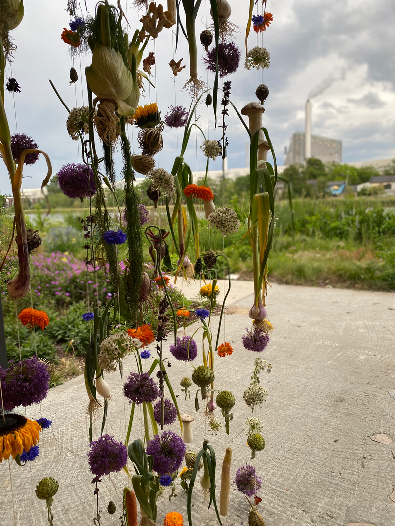 Lidt fra forskellige nationale og internationale projekter