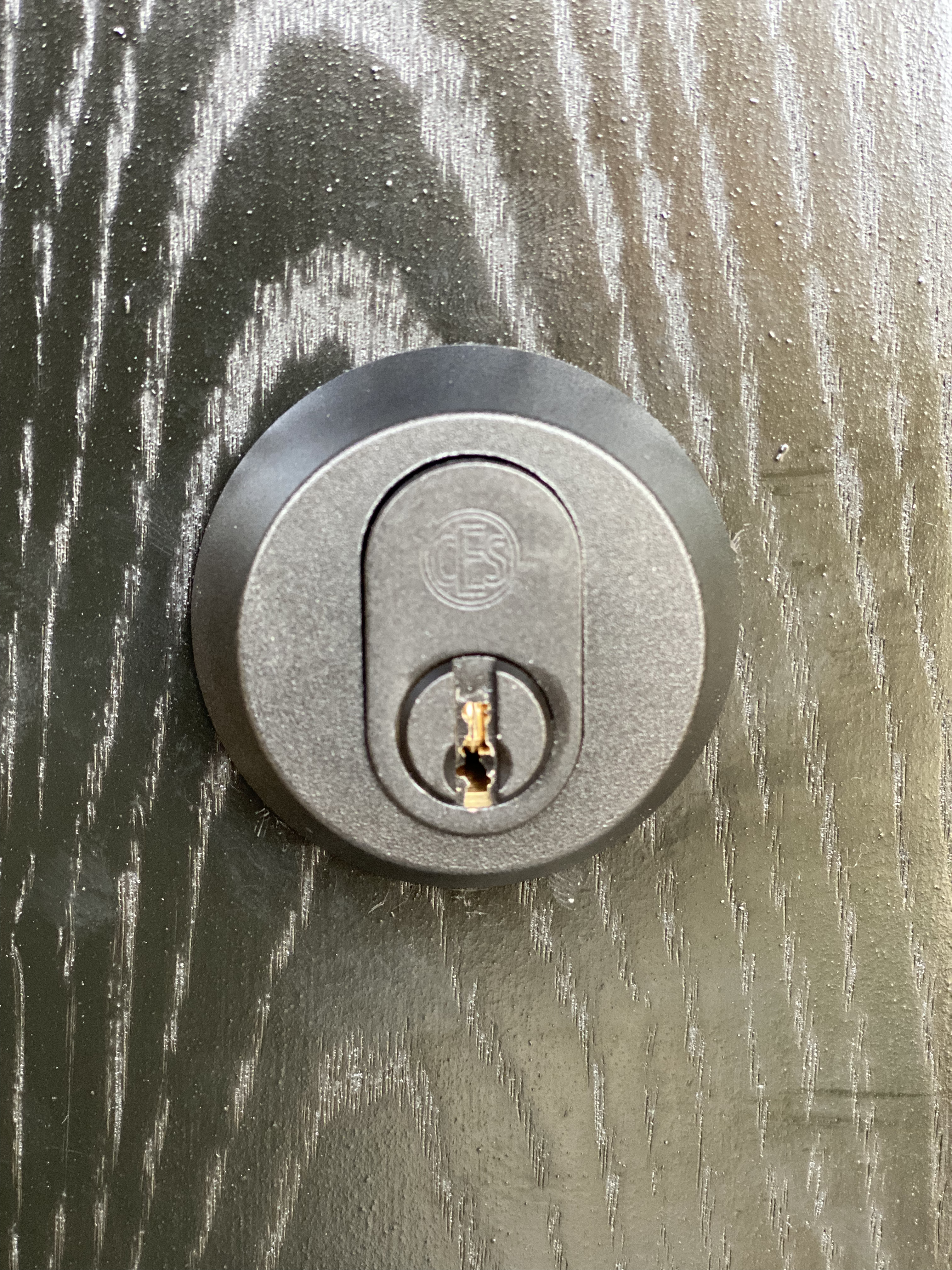 SSF and CES module lock and lock cylinders