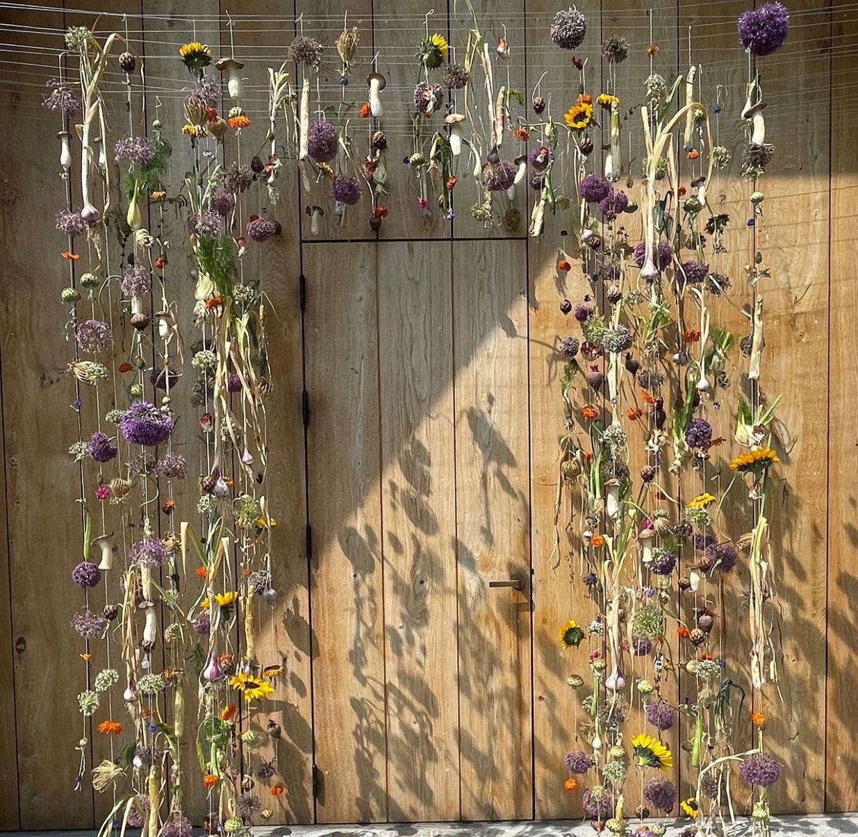 A little bit from various national and international projects