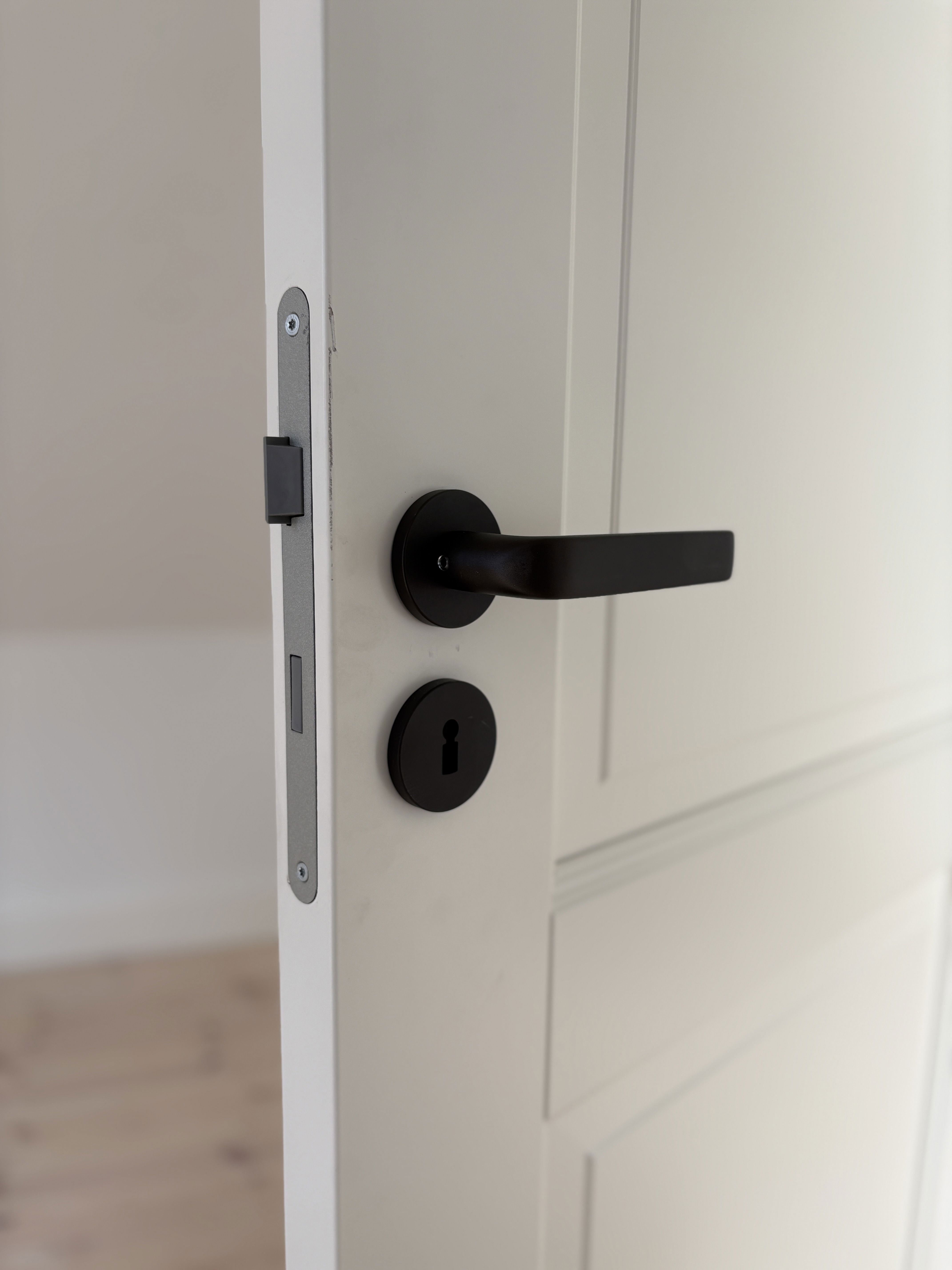 An Ekstrand door can be painted in all NCS or RAL colors.