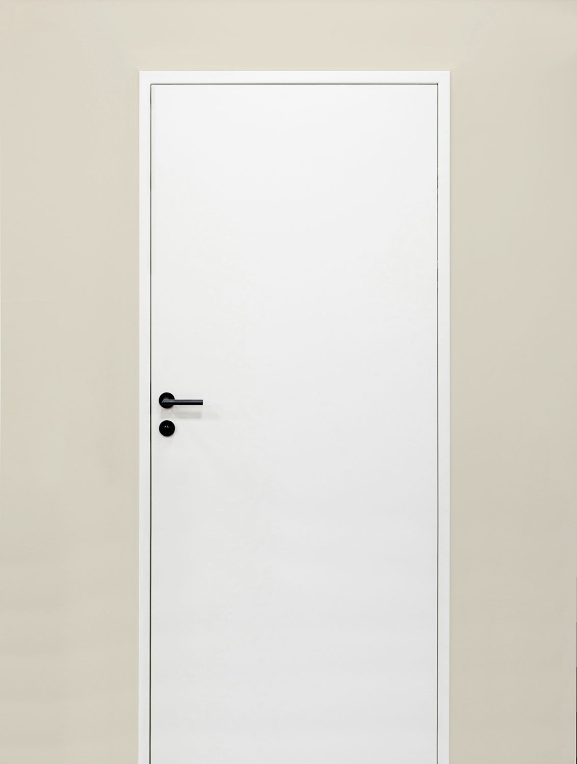 An Ekstrand door can be painted in all NCS or RAL colors.