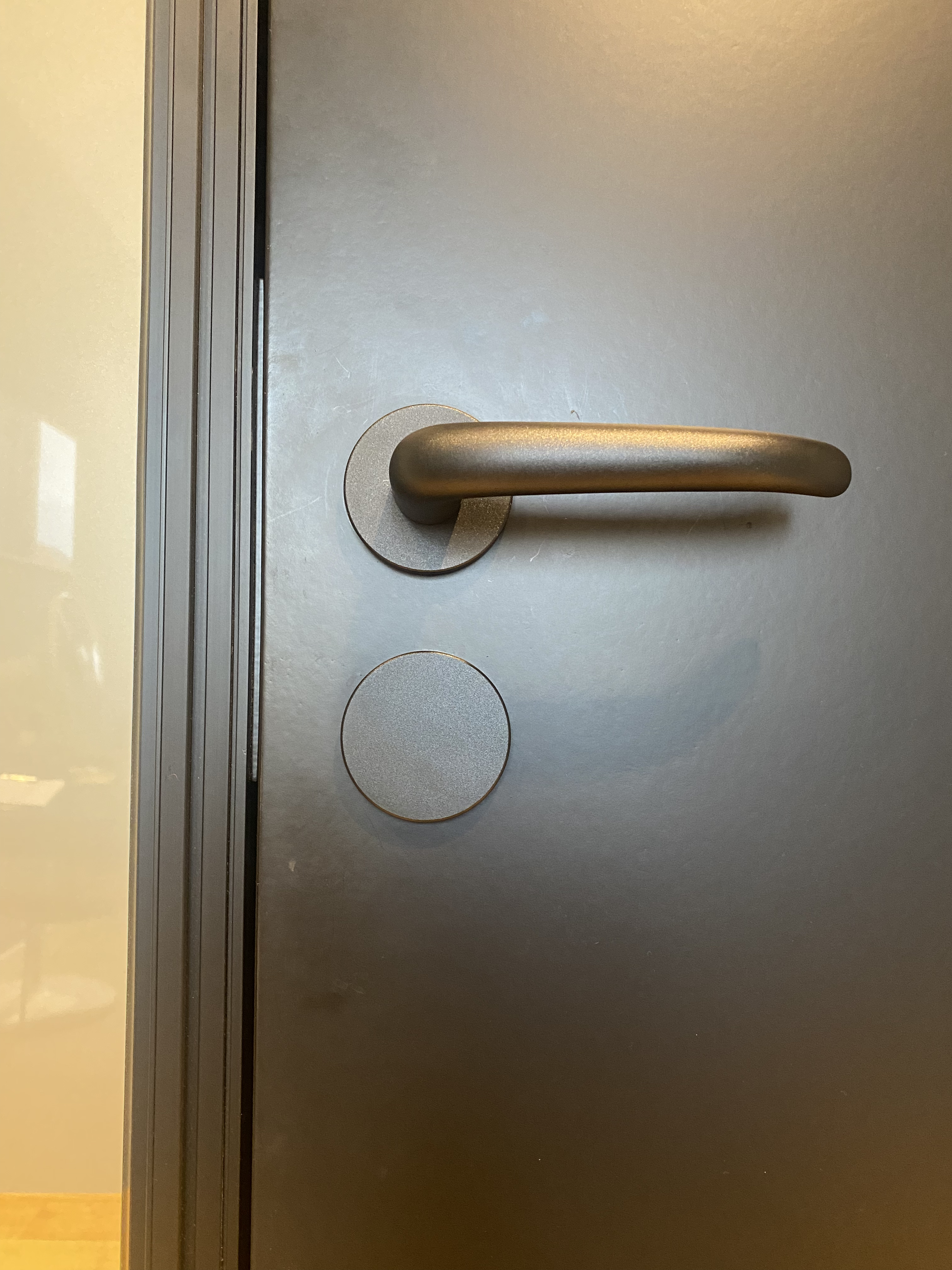 An Ekstrand door can be painted in all NCS or RAL colors.