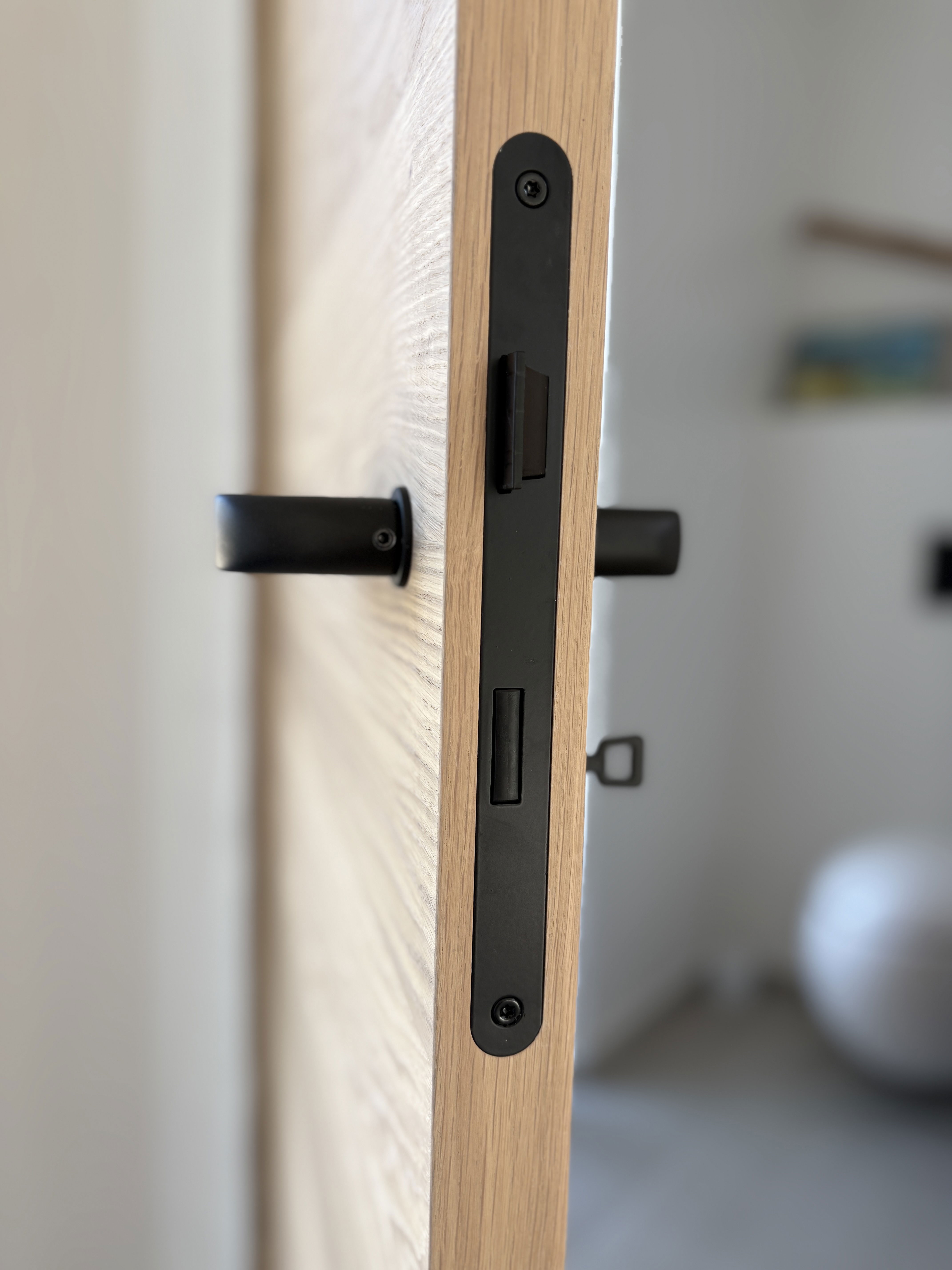 EKSTRANDS doors in solid wood or veneer