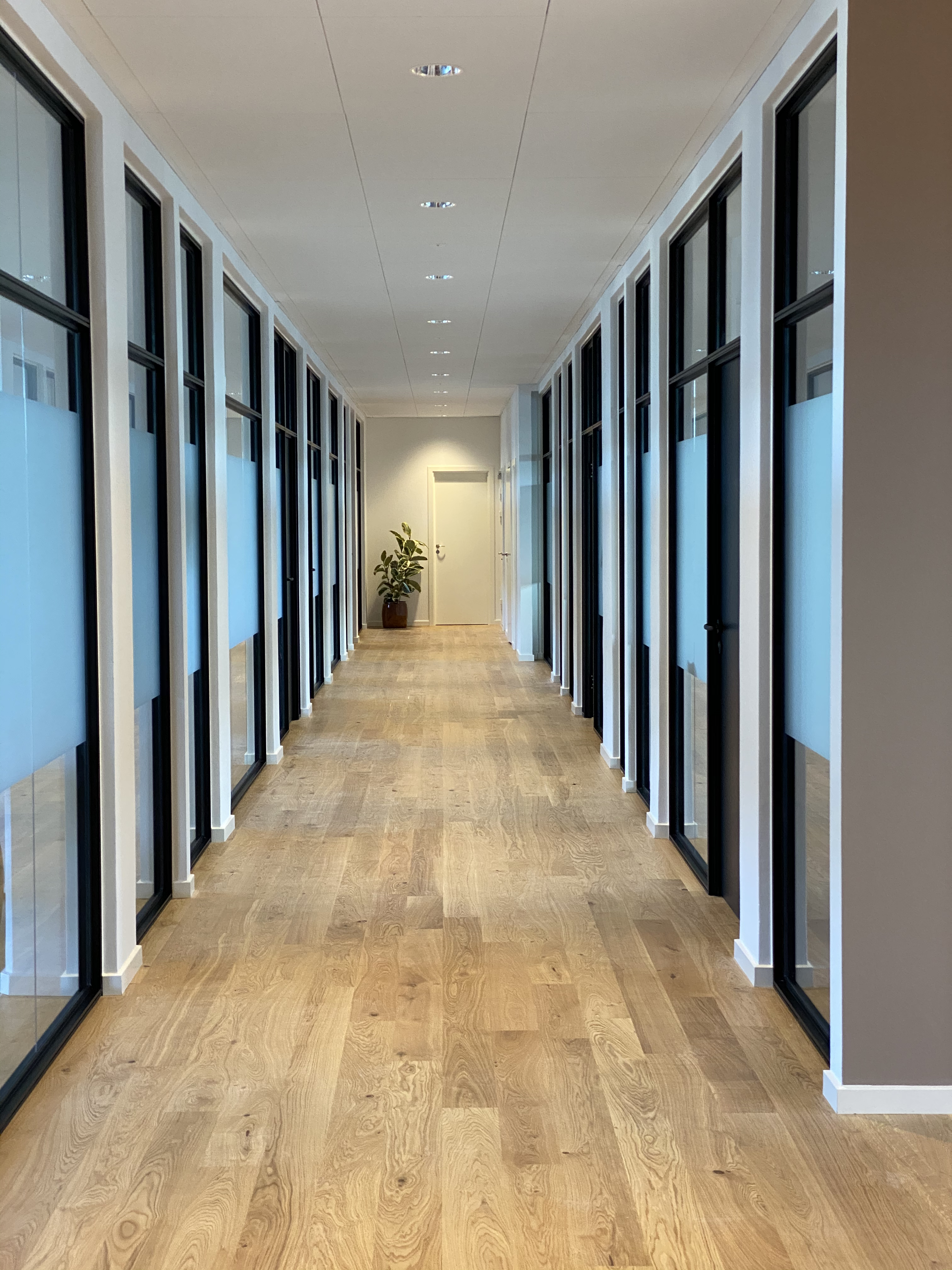 SD sound glass walls with or without bars for private and professional use