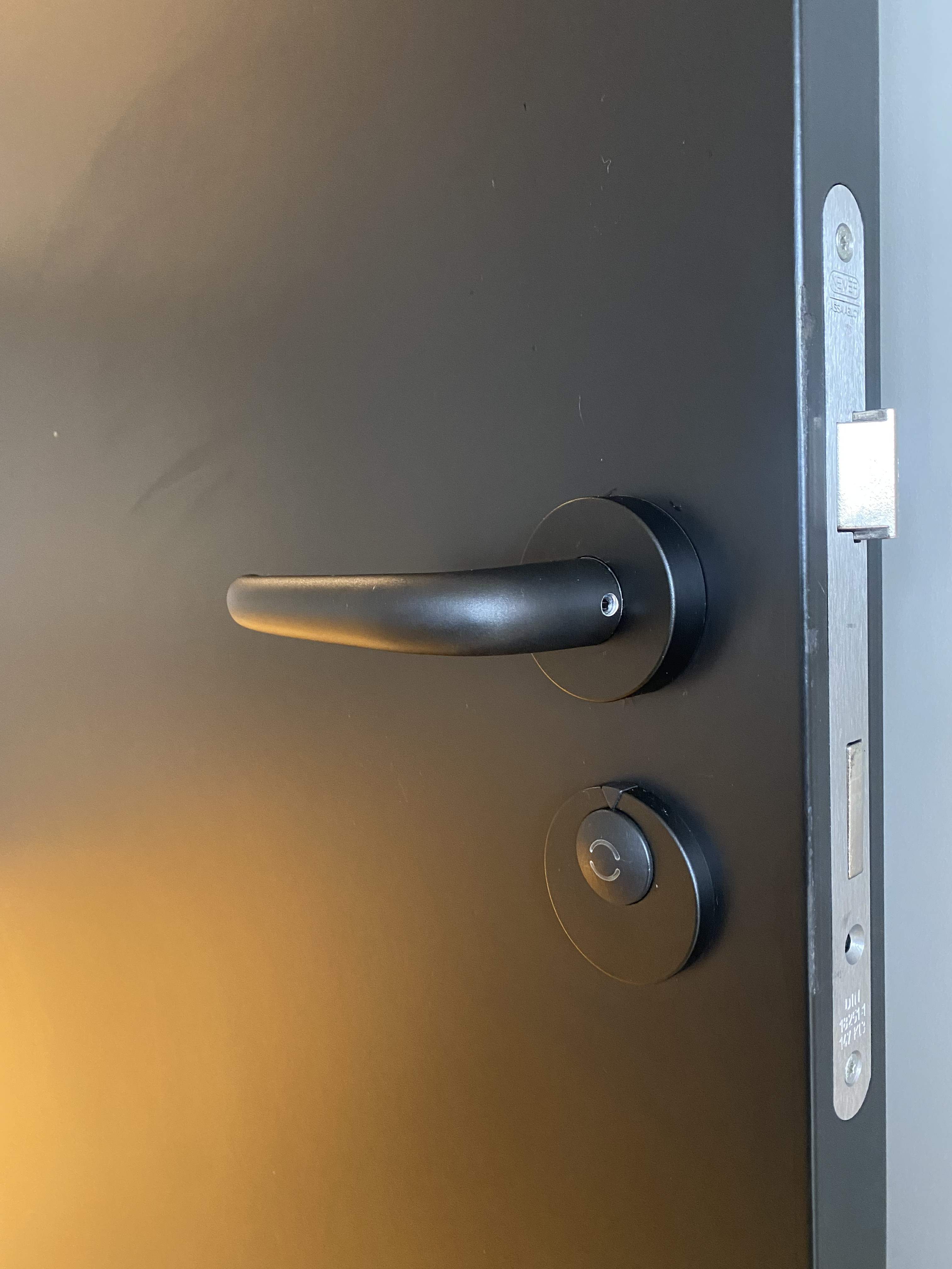 An Ekstrand door can be painted in all NCS or RAL colors.