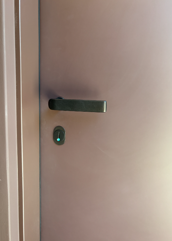 An Ekstrand door can be painted in all NCS or RAL colors.