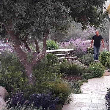 הפורום היזרעאלי לעסקים - מפגש 12